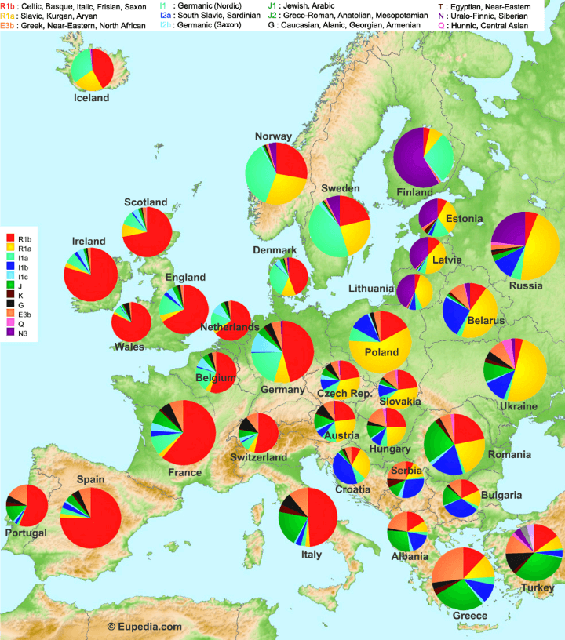 Image for The Genetic Map of Europe